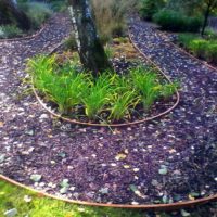 la possibilité d'utiliser des chemins de jardin lumineux dans la conception de la cour photo