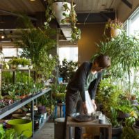 l'idée d'utiliser des idées lumineuses pour décorer le jardin d'hiver dans la maison photo