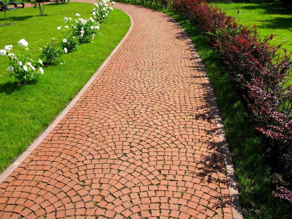 la idea de usar caminos brillantes