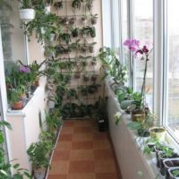 option pour appliquer de belles idées pour la décoration d'une photo de jardin d'hiver