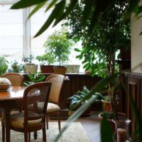 la possibilité d'utiliser des idées lumineuses pour décorer le jardin d'hiver de la maison