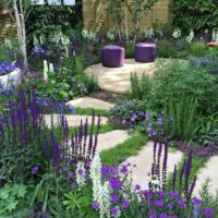 la possibilité d'utiliser des chemins de jardin clairs dans la conception de l'image de la cour
