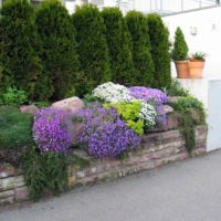 Un exemple de décor de jardin lumineux dans une cour privée photo