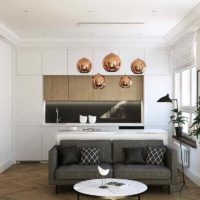 exemple d'un beau studio design 26 metres carrés photo