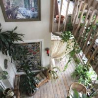 Un exemple d'utilisation d'idées brillantes pour la décoration d'un jardin d'hiver dans une maison
