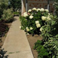 la possibilité d'utiliser de belles allées de jardin dans la conception de l'image de la cour