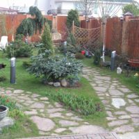 opción de usar senderos brillantes en el jardín photo
