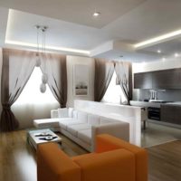 l'idée d'un studio intérieur lumineux de 26 mètres carrés photo