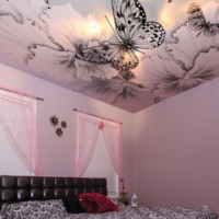 papillon plafond tendu