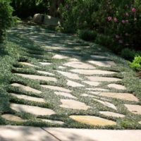exemple d'utilisation de sentiers de jardin inhabituels dans la conception de l'image de la cour