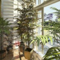 Un exemple d'application de belles idées pour la décoration d'une photo de jardin d'hiver