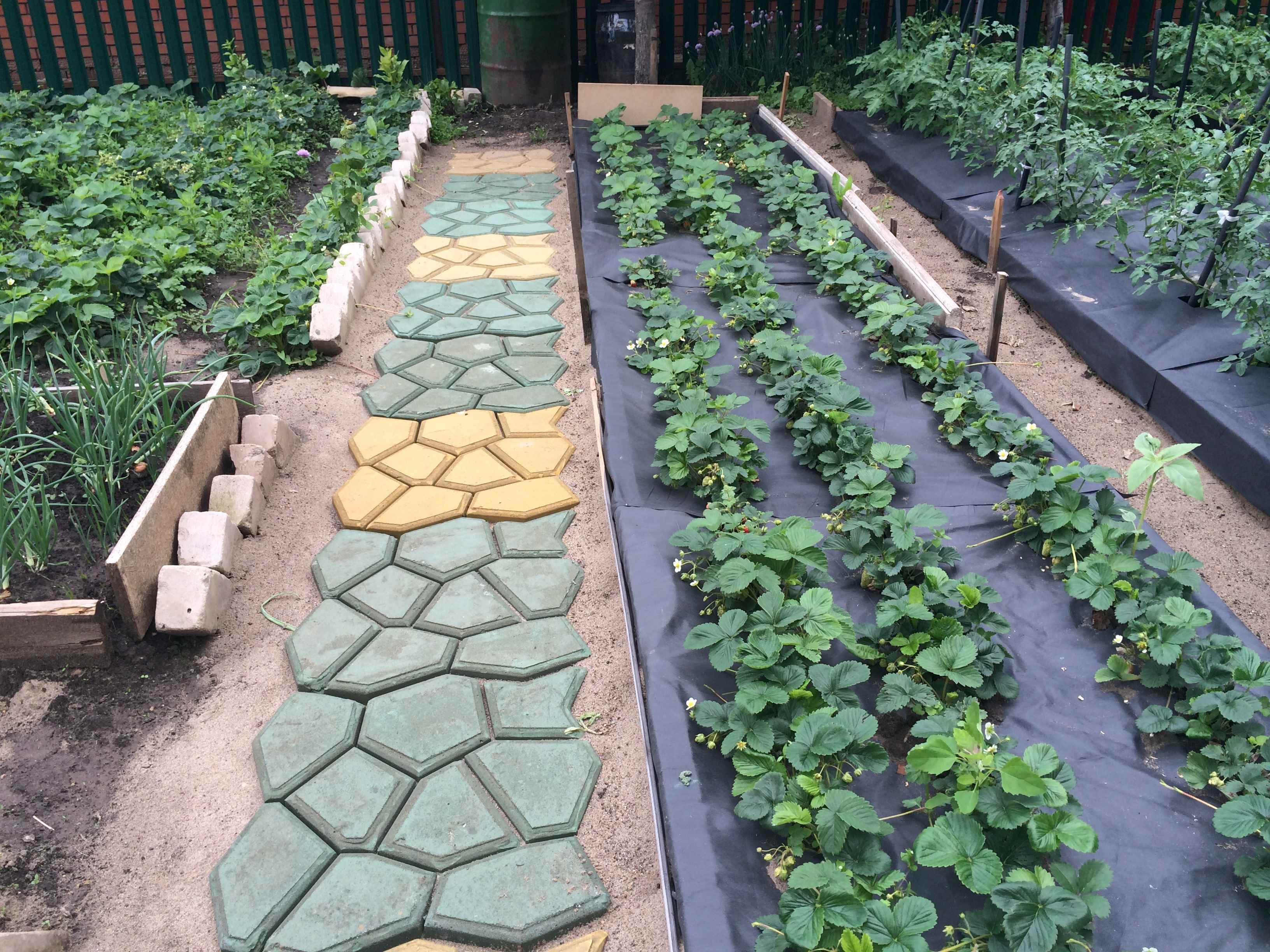 exemple d'utilisation de chemins de jardin lumineux dans l'aménagement paysager