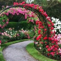 l'idée d'utiliser des roses lumineuses dans la conception de l'image de la cour