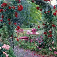 exemple d'utilisation de roses claires dans la conception de l'image de la cour
