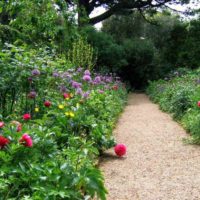 l'idée d'utiliser de belles allées de jardin dans la conception de l'image de la cour