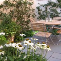 Un exemple d'une belle décoration de jardin avant dans une cour privée photo