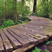 opción de usar caminos de jardín inusuales photo