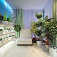 Un exemple d'utilisation d'idées inhabituelles pour la décoration d'un jardin d'hiver dans une maison