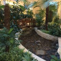 l'idée d'utiliser des idées lumineuses pour décorer l'image du jardin d'hiver