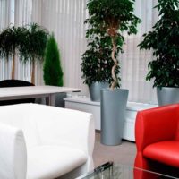 option pour appliquer des idées lumineuses pour la décoration d'un jardin d'hiver dans une maison