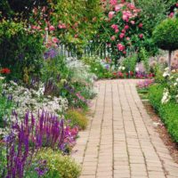 exemple d'utilisation de chemins de jardin clairs dans une image de conception de paysage