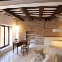 l'idée d'un beau studio design 26 mètres carrés photo