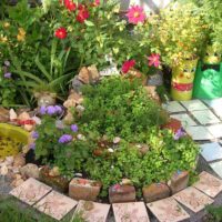 un exemple d'un décor inhabituel d'un jardin avant au chalet photo