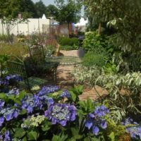 Un exemple de projet de jardin lumineux dans une cour privée