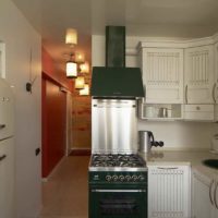 Exemple d'un intérieur de cuisine lumineux photo de 12 m²