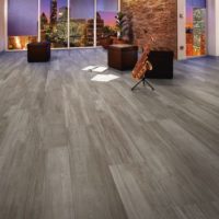 stratifié gris à l'intérieur de l'appartement