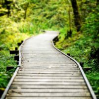 la idea de usar caminos de jardín inusuales photo