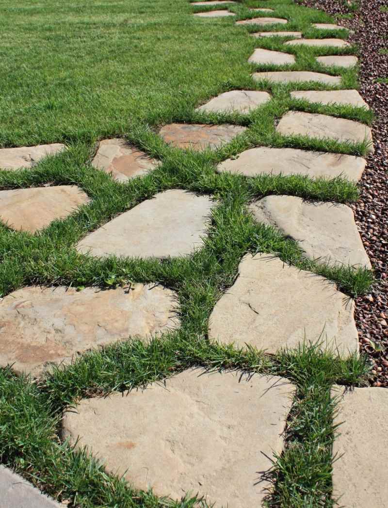 exemple d'utilisation de sentiers de jardin inhabituels dans la conception de la cour