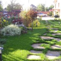 idée d'un décor clair d'un jardin devant la maison photo
