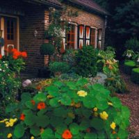 version du décor insolite du jardin de devant dans une cour privée picture
