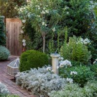 Un exemple de décor lumineux d'un jardin sur une cour privée photo