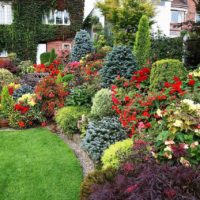 version du design inhabituel du jardin de devant dans la photo de pays
