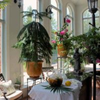 Exemple d'utilisation d'idées brillantes pour la décoration d'une photo de jardin d'hiver