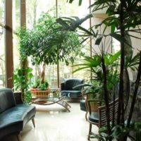 Un exemple d'utilisation d'idées brillantes pour la décoration d'un jardin d'hiver