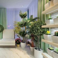 possibilité d'utiliser des idées lumineuses pour décorer une photo de jardin d'hiver