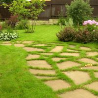Un exemple d'utilisation de chemins de jardin clairs dans la conception de la cour photo