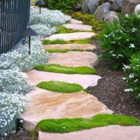 l'idée d'utiliser des allées de jardin lumineuses dans la conception de la photo de la cour