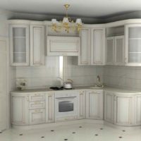 un exemple d'un décor insolite de la cuisine dans une image de style classique