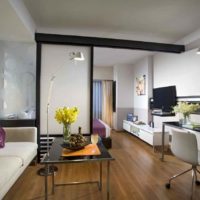 variante d'un beau studio design 20 m² d'image