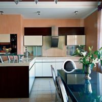 conception de cuisine avec une fenêtre à l'intérieur