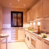 intérieur d'une photo d'idées de cuisine petite