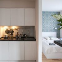appartement design 33 m2 idées interieur