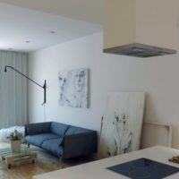 Appartement design 33 m2 idées de design