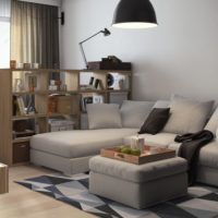 conception d'un appartement d'une pièce d'une superficie de 36 m