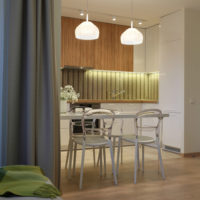 intérieur d'un appartement d'une chambre 36 m²