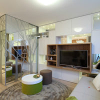 intérieur d'un appartement d'une chambre 36 m²